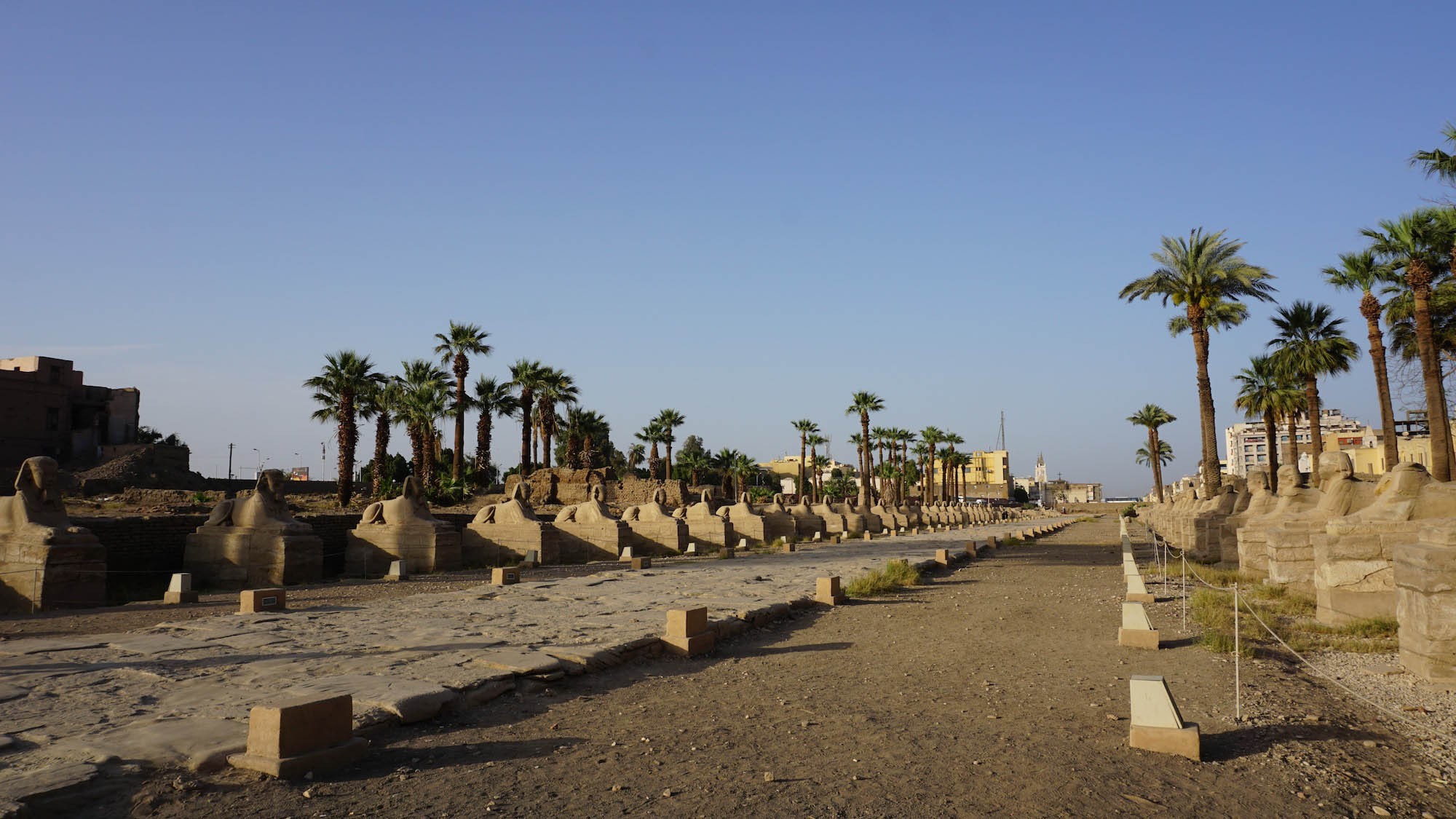 三公里长的Avenue of Sphinxes，我和二哥只从Luxor Temple走了一小段，有一些游客会走完，一直到Karnak Temple去。